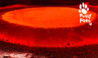 Graphic & Print, Illustration