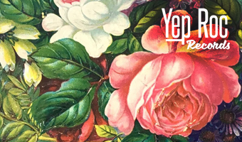 Graphic & Print, Illustration, Branding